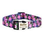 Custom Engraved Dog Collars with ID Tags