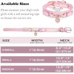 Iridescent Pink Dog Collar with Heart Pendant