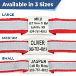 Personalized Reflective Dog Collar with ID Tag
