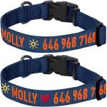Personalized Adjustable Dog Collar with Name Tag