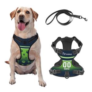 Personalized Reflective Dog Harness with Leash