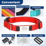 Custom Engraved Reflective Dog Collar in Rose Red