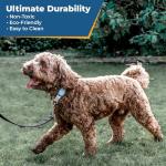 Personalized Silicone Slide On Pet ID Tag