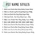 Personalized Stainless Steel Pet ID Tag with Heart