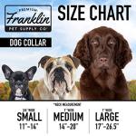 Reflective Adjustable Nylon Dog Collar by Franklin