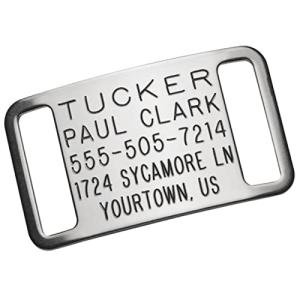 Personalized Slide-On Engraved Dog ID Tags
