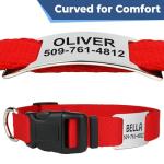 Personalized Reflective Dog Collar with ID Tag