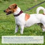 Reflective Adjustable Martingale Dog Collar with Quick Release