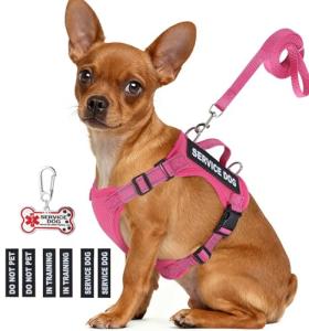 Hot Pink Service Dog Vest with ID Tag Set