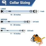 Personalized Reflective Dog Collar with ID Tag