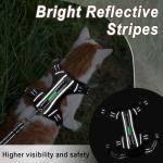 Escape-Proof Cat Harness and Leash Set, Black