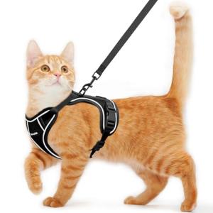 Escape-Proof Soft Cat Harness and Leash Set