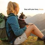 AirTag Cat Collar Holder - 2 Pack Waterproof Case