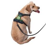 Personalized Reflective Dog Harness with Leash