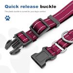 Reflective Adjustable Martingale Dog Collar with Quick Release