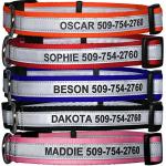 Personalized Reflective Dog Collars with Engraving