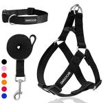 Adjustable No Pull Dog Harness and Leash Set