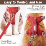 Escape-Proof Cat Harness and Leash Set - Red
