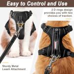 Escape-Proof Cat Harness and Leash Set, Black