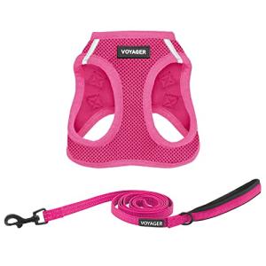 Voyager All Weather Dog Harness and Leash Set