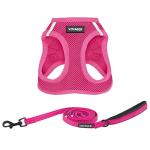 Voyager All Weather Dog Harness and Leash Set