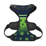 Personalized Reflective Dog Harness with Leash