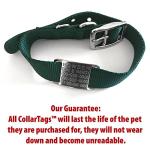 Personalized Slide-On Engraved Dog ID Tags