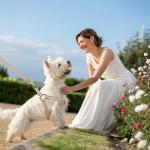 BINGPET Adjustable Denim Dog Harness and Leash Set