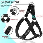 Adjustable No Pull Dog Harness and Leash Set