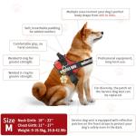 Service Dog Vest with ID Tag and Cards