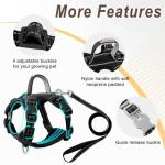 Escape-Proof Cat Harness and Leash Set, Black