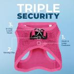 Voyager All Weather Dog Harness and Leash Set