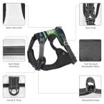 Personalized Reflective Dog Harness with Leash