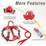 Escape-Proof Cat Harness and Leash Set - Red