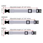 Personalized Reflective Dog Collars with Engraving