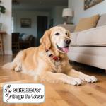 Personalized Silicone Pet ID Tags Set of 6