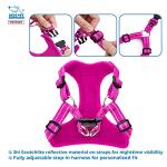 Voyager Adjustable Breathable Dog Harness - Fuchsia