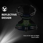 Personalized Reflective Dog Harness with Leash