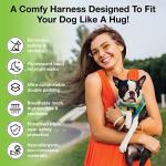 EcoBark Reflective Step-In Dog Harness