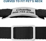 Personalized Silent Slide-On Pet ID Tags