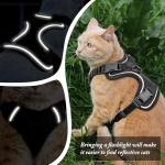 Escape-Proof Cat Harness and Leash Set