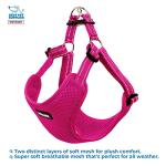 Voyager Adjustable Breathable Dog Harness - Fuchsia