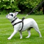 Adjustable No Pull Dog Harness and Leash Set