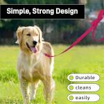 Custom Embroidered Reflective Dog Leash - 13 Colors