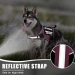 Pink Service Dog Vest Harness with ID Tag and Patches