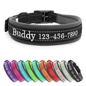 Personalized Reflective Dog Collar with Embroidered Name