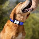 Personalized Reflective Nylon Dog Collar - Dark Purple