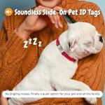 Personalized QR Code Pet ID Tag for Pets