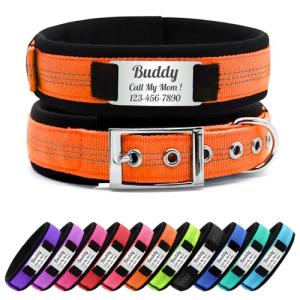 Personalized Reflective Dog Collar with Name - Orange