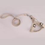 BINGPET Adjustable Denim Dog Harness and Leash Set